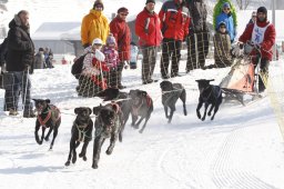 Lenk 2012 SM